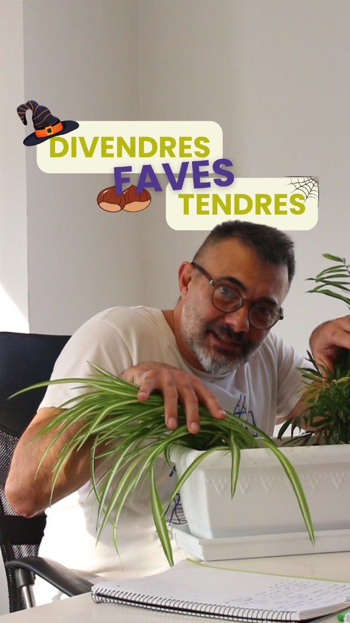 Instagram post from romeuprenafeta. This post is in position 2.